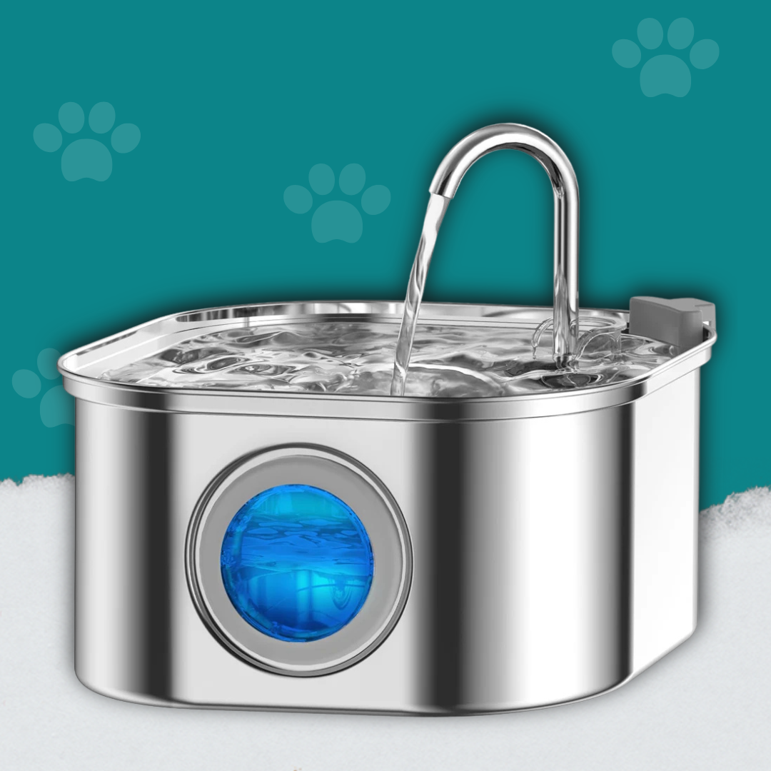 Smart Pet Water Feeder with Visual Window 3.2L Stainless Steel