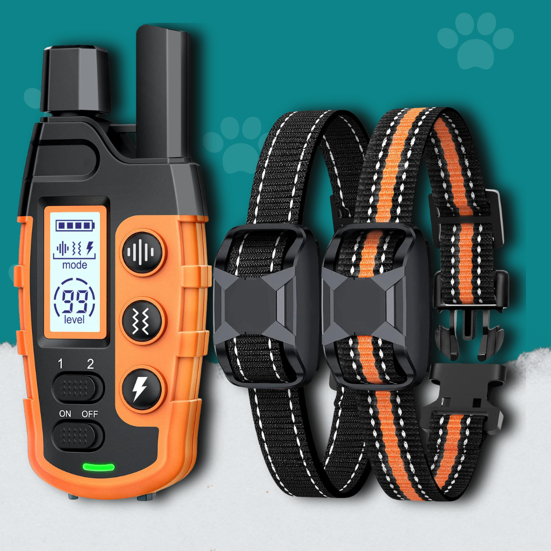 Dog Training Collar with Shock & Vibration Long Range