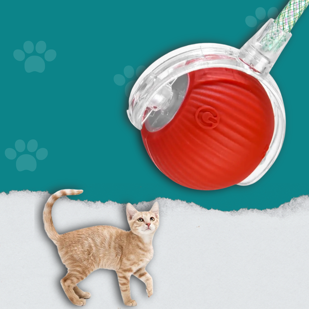 Automatic Cat Toy Ball with Tail Rechargeable