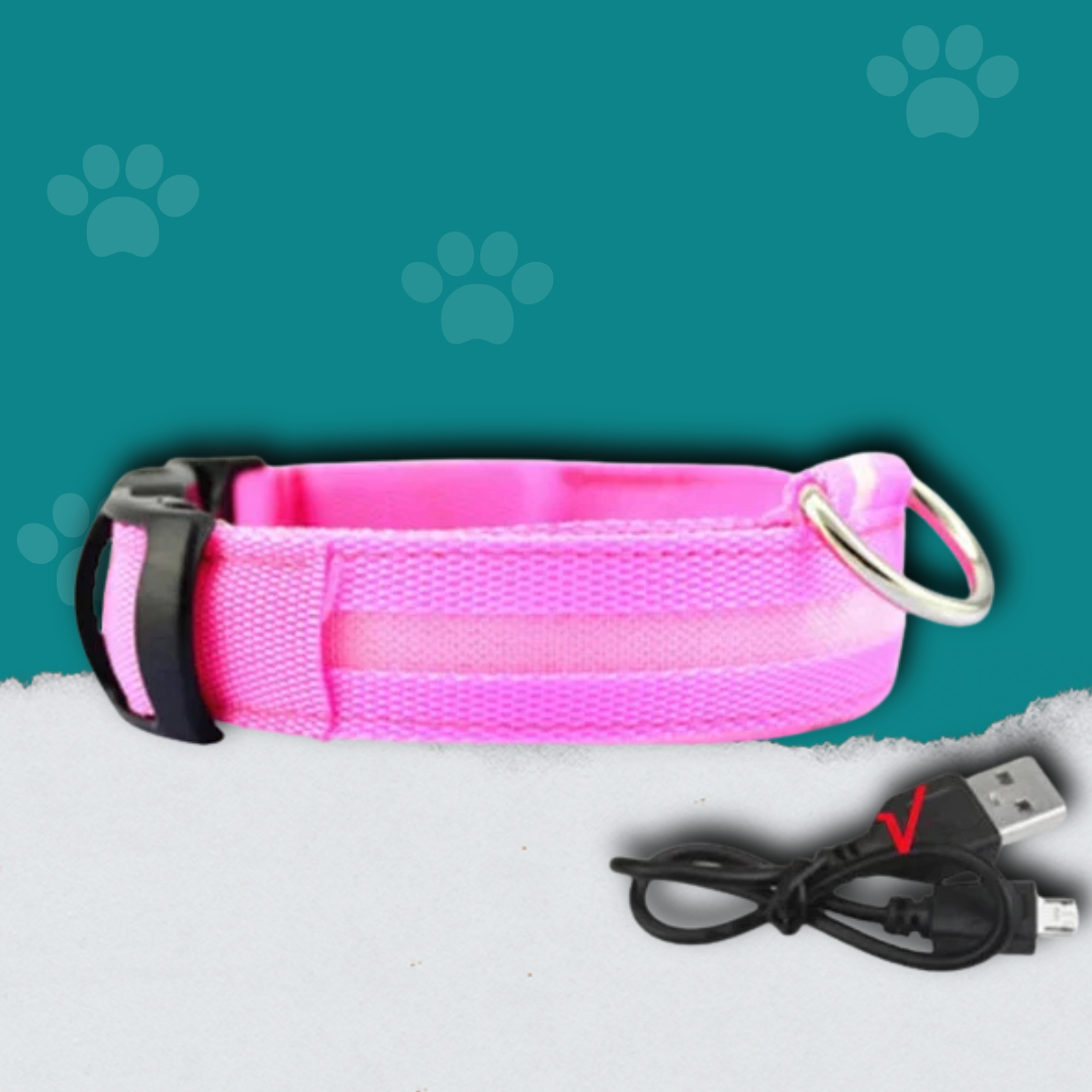 Bright Paw LED Collar Anti-Lost for Small Dogs