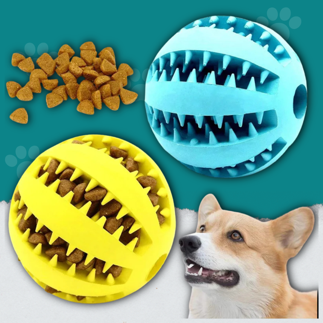 Tough Pet Toy Cleans Teeth While They Play