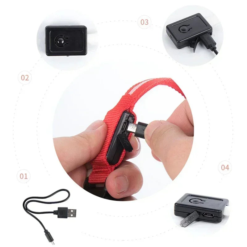 Bright Paw LED Collar Anti-Lost for Small Dogs