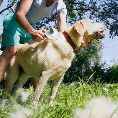 Pet Hair Remover Brush for Dogs & Cats Grooming Tool