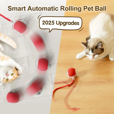 Automatic Cat Toy Ball with Tail Rechargeable