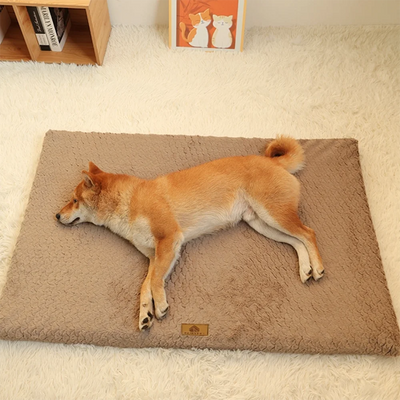 Orthopedic 3D Foam Dog Bed with Faux Fur Cover