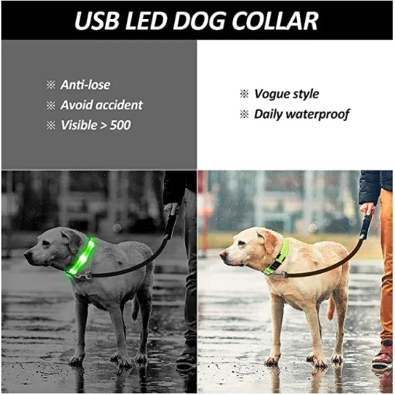 Bright Paw LED Collar Anti-Lost for Small Dogs