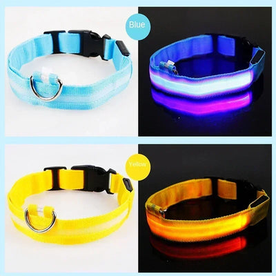 Bright Paw LED Collar Anti-Lost for Small Dogs