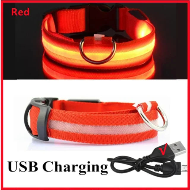 Bright Paw LED Collar Anti-Lost for Small Dogs