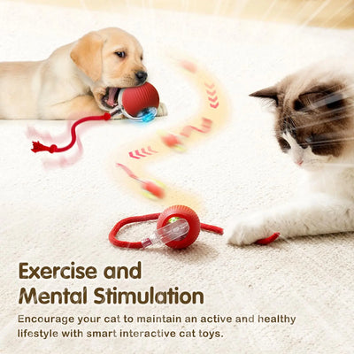 Automatic Cat Toy Ball with Tail Rechargeable