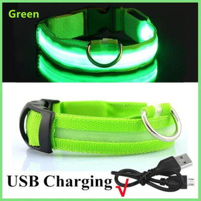 Bright Paw LED Collar Anti-Lost for Small Dogs