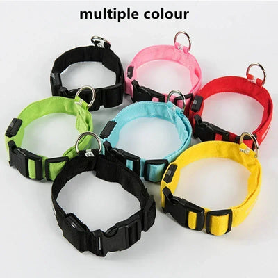 Bright Paw LED Collar Anti-Lost for Small Dogs