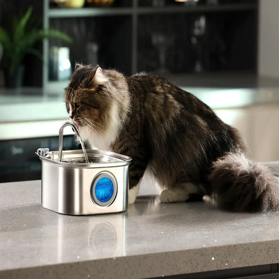Smart Pet Water Feeder with Visual Window 3.2L Stainless Steel