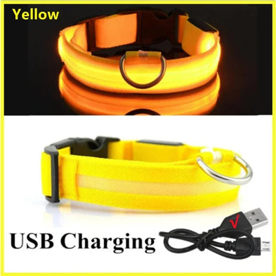 Bright Paw LED Collar Anti-Lost for Small Dogs
