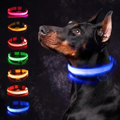 Bright Paw LED Collar Anti-Lost for Small Dogs