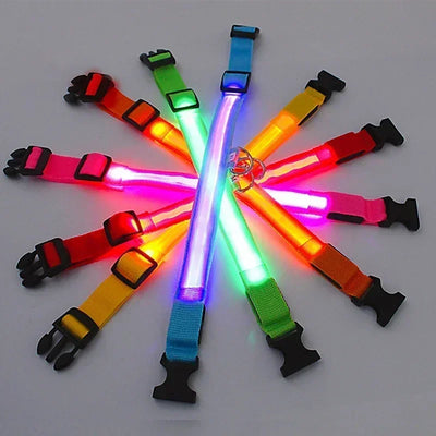 Bright Paw LED Collar Anti-Lost for Small Dogs