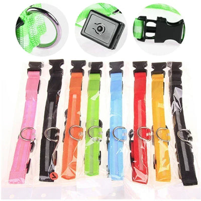 Bright Paw LED Collar Anti-Lost for Small Dogs