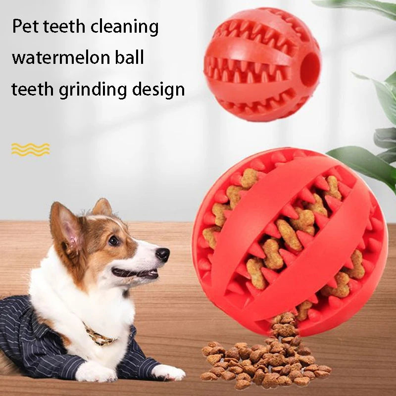 Tough Pet Toy Cleans Teeth While They Play
