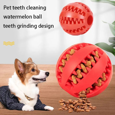 Tough Pet Toy Cleans Teeth While They Play
