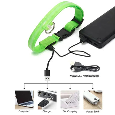 Bright Paw LED Collar Anti-Lost for Small Dogs