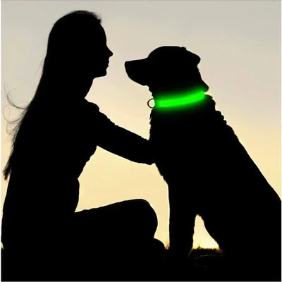 Bright Paw LED Collar Anti-Lost for Small Dogs
