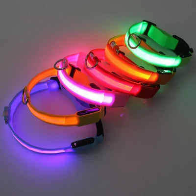 Bright Paw LED Collar Anti-Lost for Small Dogs