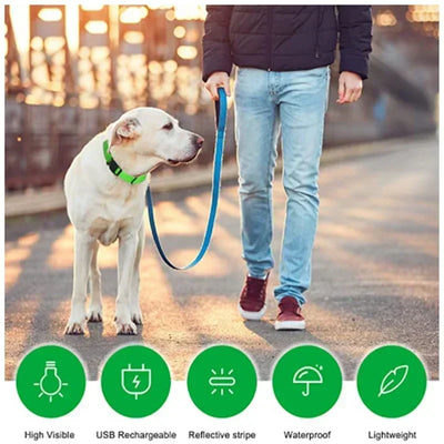 Bright Paw LED Collar Anti-Lost for Small Dogs