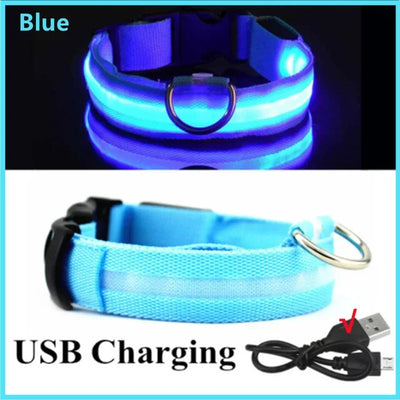 Bright Paw LED Collar Anti-Lost for Small Dogs