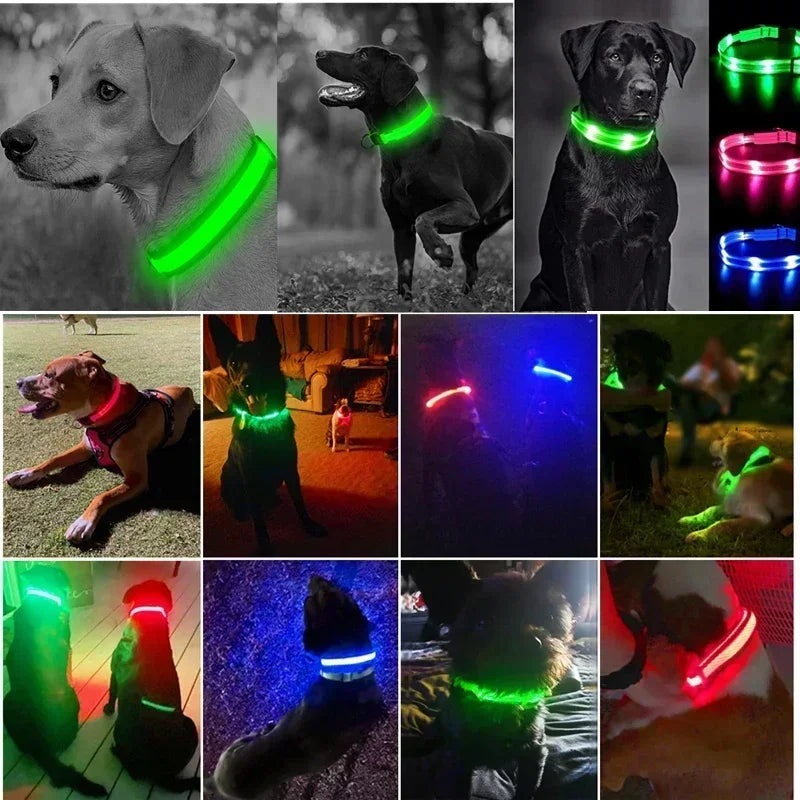 Bright Paw LED Collar Anti-Lost for Small Dogs