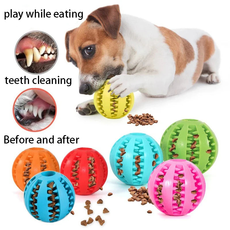 Tough Pet Toy Cleans Teeth While They Play