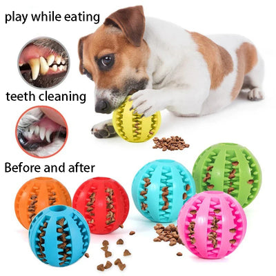 Tough Pet Toy Cleans Teeth While They Play
