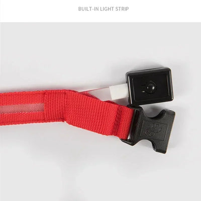Bright Paw LED Collar Anti-Lost for Small Dogs