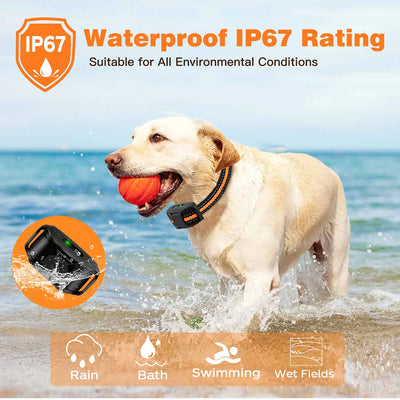 Dog Training Collar with Shock & Vibration Long Range