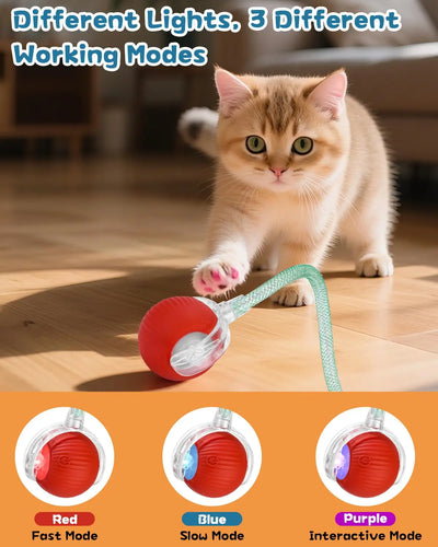 Automatic Cat Toy Ball with Tail Rechargeable