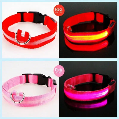 Bright Paw LED Collar Anti-Lost for Small Dogs