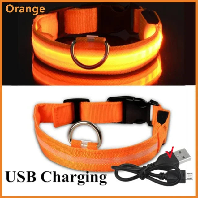 Bright Paw LED Collar Anti-Lost for Small Dogs