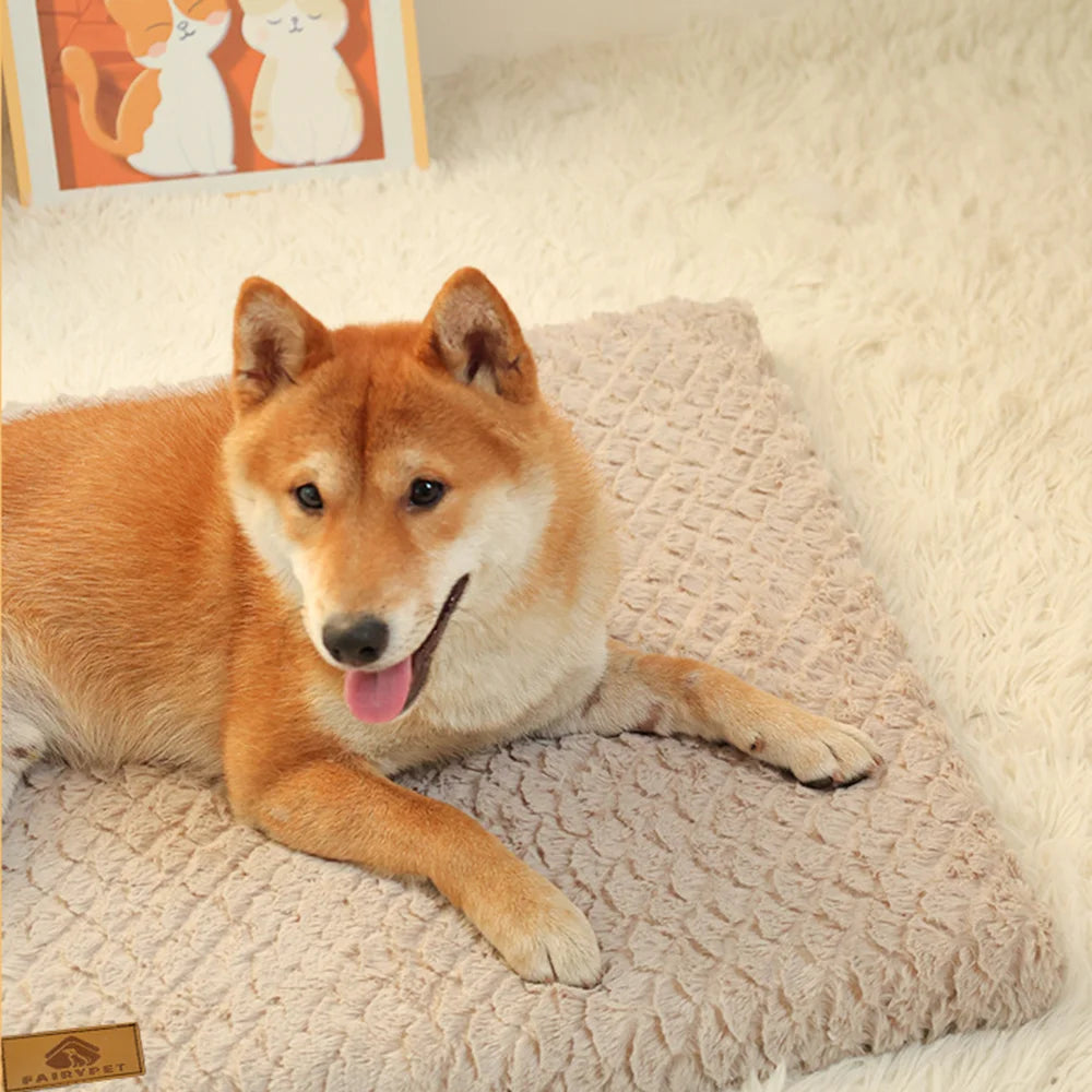 Orthopedic 3D Foam Dog Bed with Faux Fur Cover
