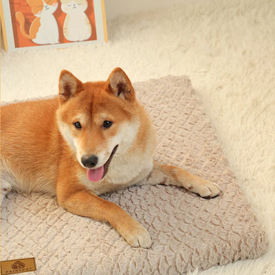 Orthopedic 3D Foam Dog Bed with Faux Fur Cover