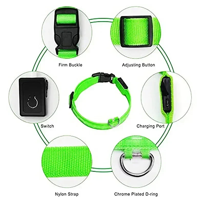 Bright Paw LED Collar Anti-Lost for Small Dogs
