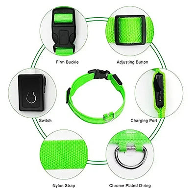 Bright Paw LED Collar Anti-Lost for Small Dogs