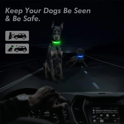 Bright Paw LED Collar Anti-Lost for Small Dogs