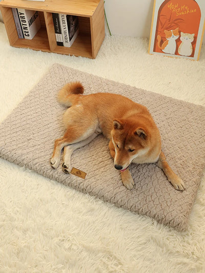 Orthopedic 3D Foam Dog Bed with Faux Fur Cover