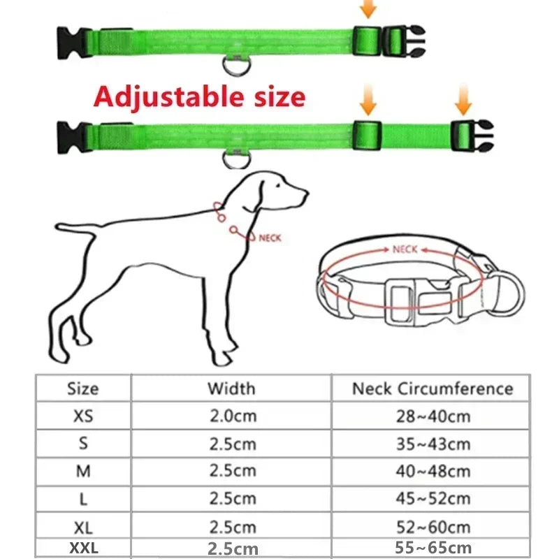 Bright Paw LED Collar Anti-Lost for Small Dogs