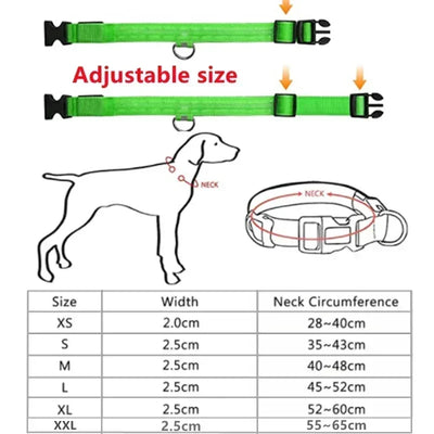 Bright Paw LED Collar Anti-Lost for Small Dogs