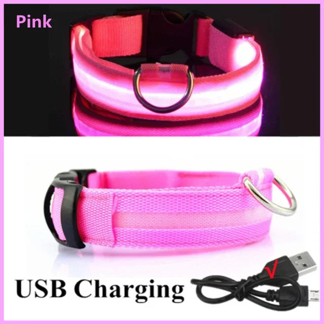 Bright Paw LED Collar Anti-Lost for Small Dogs