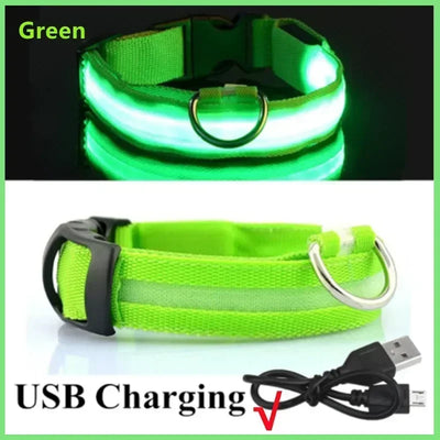 Bright Paw LED Collar Anti-Lost for Small Dogs
