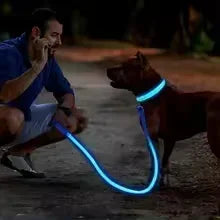 Bright Paw LED Collar Anti-Lost for Small Dogs