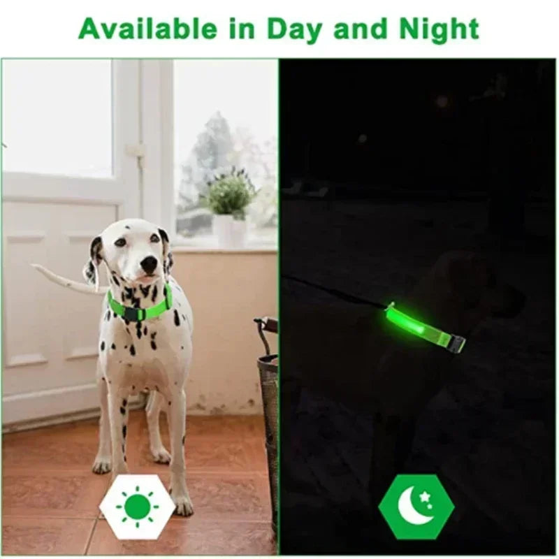Bright Paw LED Collar Anti-Lost for Small Dogs