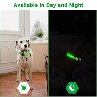 Bright Paw LED Collar Anti-Lost for Small Dogs