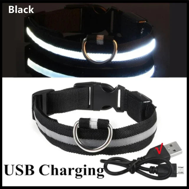 Bright Paw LED Collar Anti-Lost for Small Dogs