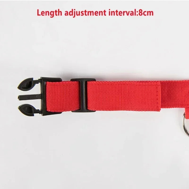 Bright Paw LED Collar Anti-Lost for Small Dogs